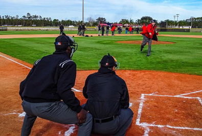 Becoming an Umpire – Gordon Head Baseball